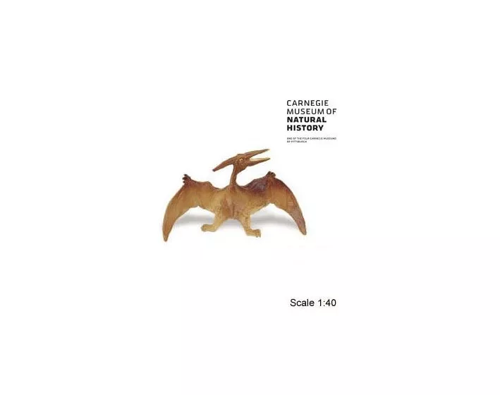Safari ltd. Carnegie Collectibles - figurka Pteranodon